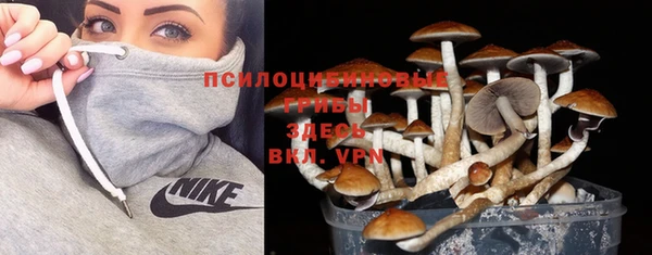 прущие крисы Балабаново