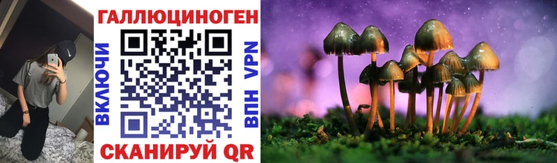Псилоцибиновые грибы прущие грибы Купить где Вышний Волочёк